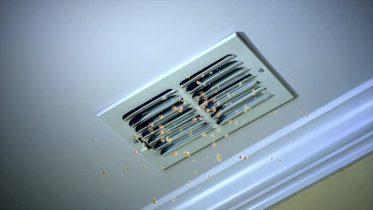 Best Local Air Duct Cleaning Services  in Mira Monte, CA